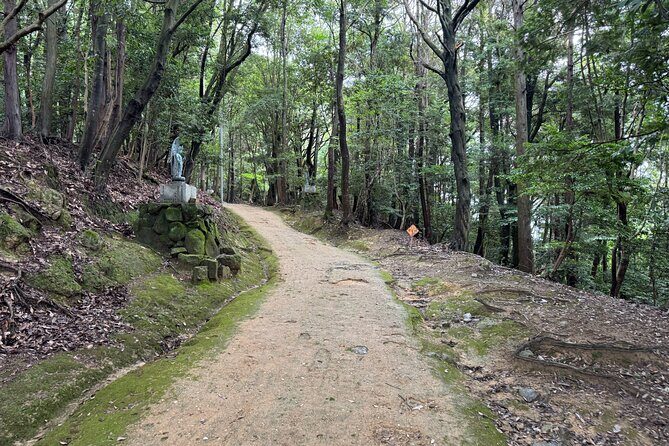 Himeji: 3-Hour Tour of Engyoji Temple, Japans Hidden Gem - Who Will Love This Tour?
