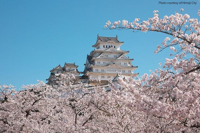 himeji-castle-and-akashi-kaikyo-bridge-walking-tour-from-himeji
