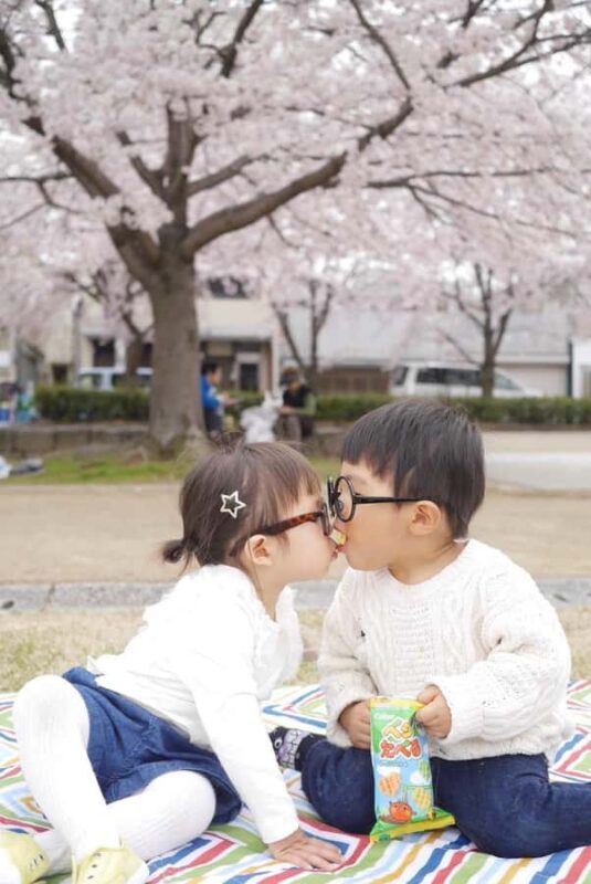 Himeji: Cherry Blossom Picnic Tour with Food & Drinks - Final Thoughts