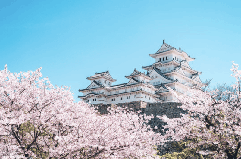 himeji-private-custom-tour-with-local-guide