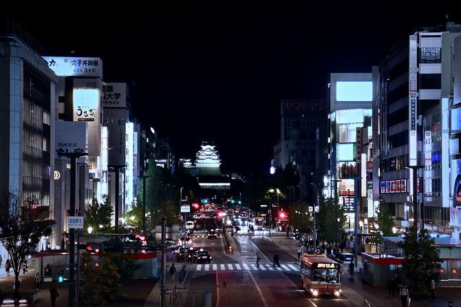 himeji-private-customizable-half-day