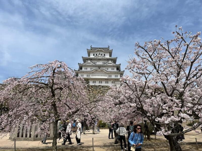 Himeji: visit the castle and Engyoji temple from Osaka - A Walk Through History at Himeji Castle