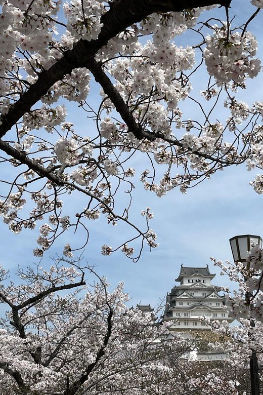Himeji: visit the castle and Engyoji temple from Osaka - The Sum Up: Who Will Enjoy This Tour?