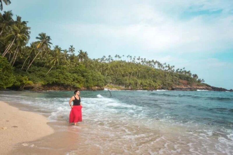 Hiriketiya: Mirissa Beach & Whale Watching Day Trip - Hiriketiya: Mirissa Beach & Whale Watching Day Trip — An In-Depth Review