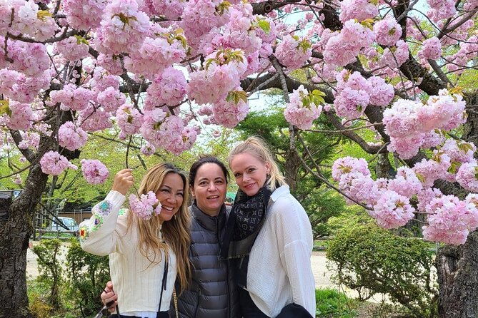 hirosaki-4hr-private-tour-with-government-licensed-guide