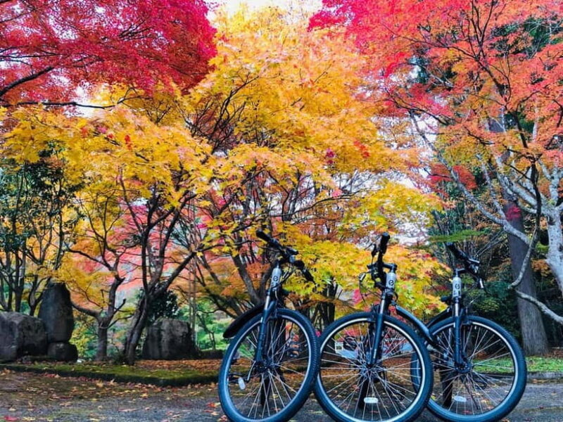 Hiroshima Country Cycling: Explore Rural Life 1 HR from City - An In-Depth Look at the Tour