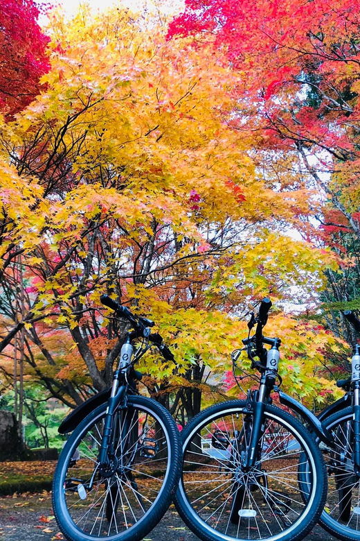 hiroshima-country-cycling-herb-garden-lunch-experience