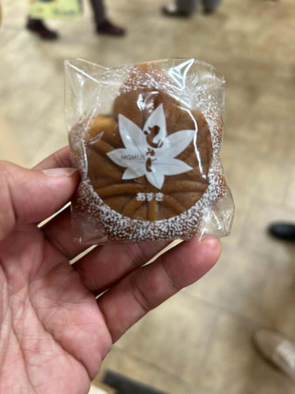 Hiroshima & Miyajima: 6.5-Hour Private Tour (Spanish Guide) - A Detailed Look at the Hiroshima & Miyajima Private Tour