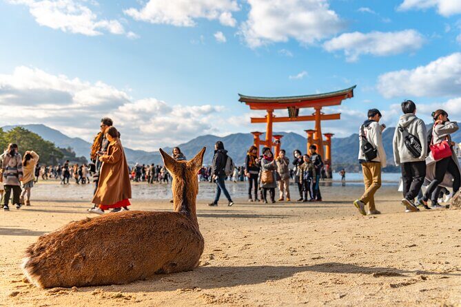 Hiroshima & Miyajima by Bullet Train from Osaka - Frequently Asked Questions