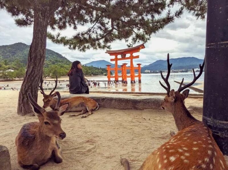 Hiroshima: Miyajima Island UNESCO Site Guided Tour - The Review Summary