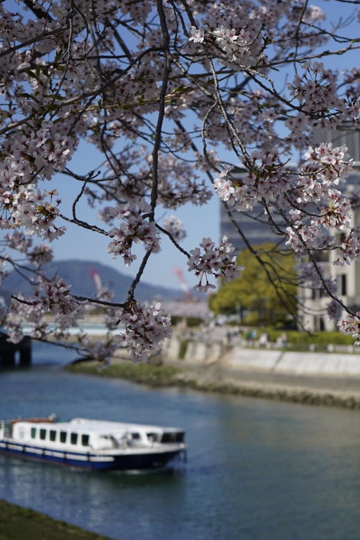 hiroshima-miyajima-private-custom-tour-with-local-guide