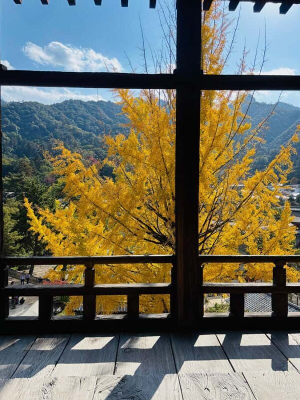 Hiroshima: Miyajima Private Tour with Ferry Ride - Key Points