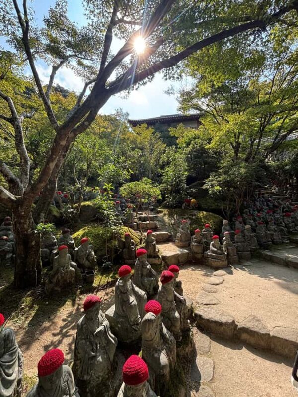 Hiroshima: Miyajima Private Tour with Ferry Ride - The Sum Up