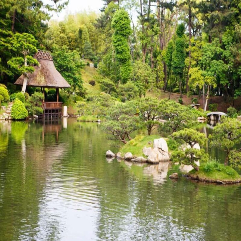 Hiroshima: Private Tour with Miyajima and Peace Park - What Makes This Tour Stand Out?