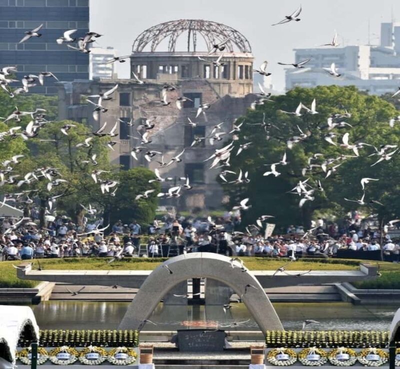 Hiroshima: Private Tour with Miyajima Island & Driver - Lunch: Local Flavors to Fuel Your Day