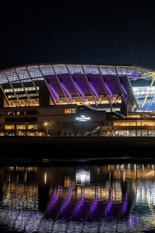 Hiroshima: Sanfrecce Hiroshima Football Game - Why Attend a Sanfrecce Hiroshima Football Game?