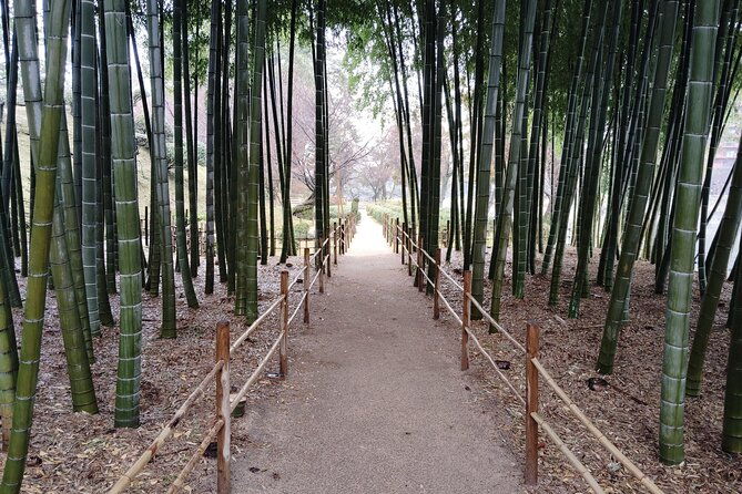 hiroshima-shukkei-en-garden-with-local-guide-90min
