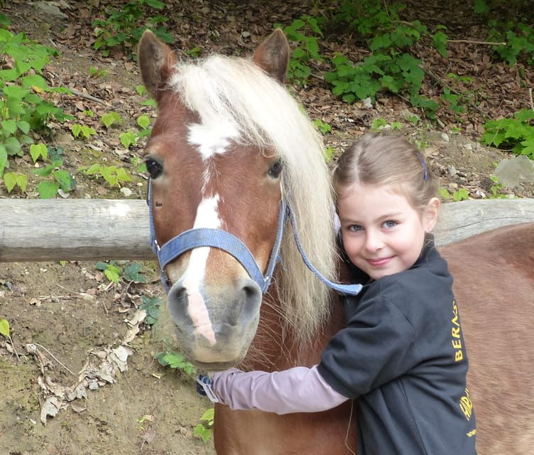 hirschburg-day-at-the-stables