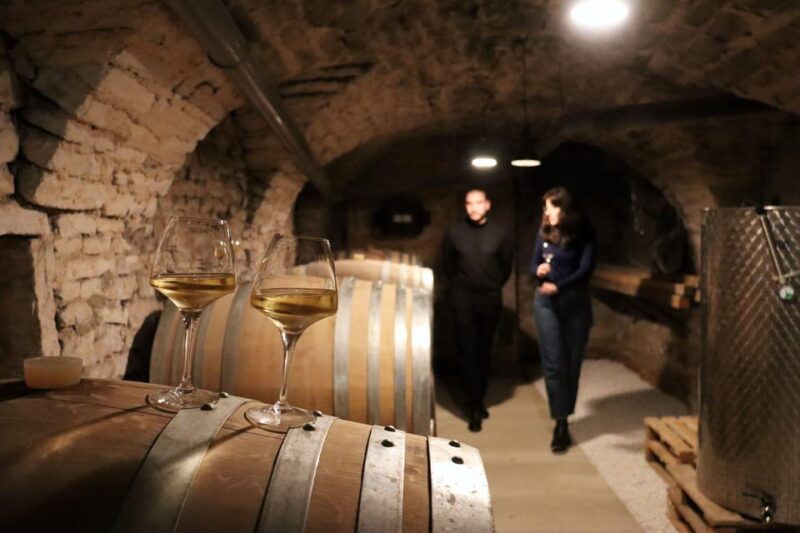 historic-center-of-dijon-discovery-tasting-wine-burgundy