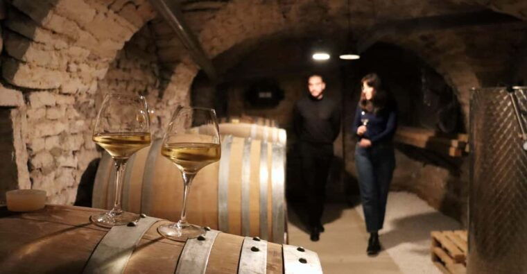 historic-center-of-dijon-discovery-tasting-wine-burgundy