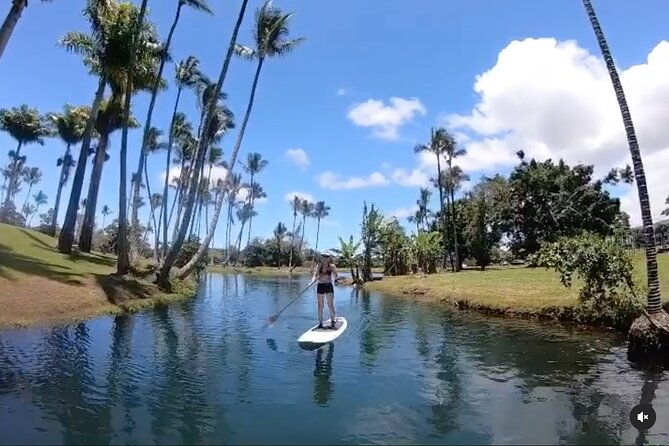 historic-hilo-bay-coconut-island-sup-adventure