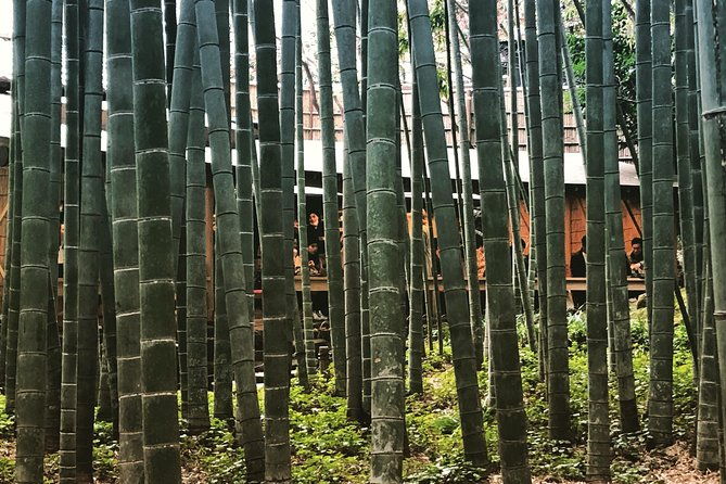 historic-kamakura-temples-shrines-and-street-food-private-walking-tour