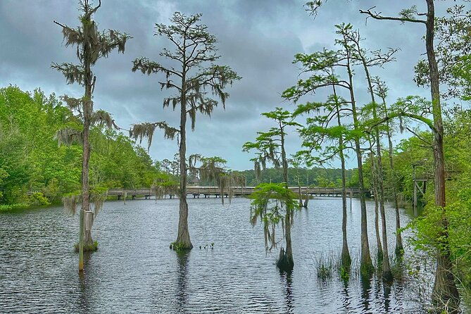 historic-mobile-and-bellingrath-garden-private-day-tour