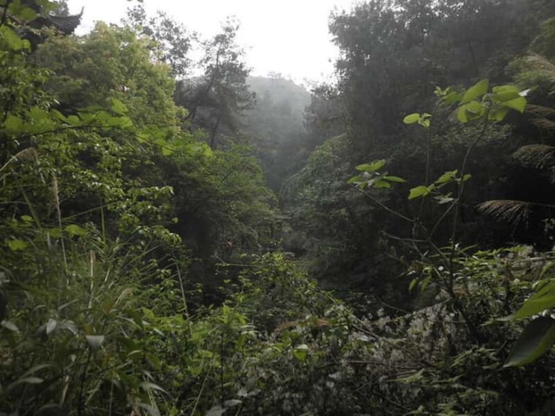 Historic, Natural Wonders: Zaina Falls & Mau Mau Cave Hike - Is This Experience Worth the Price?