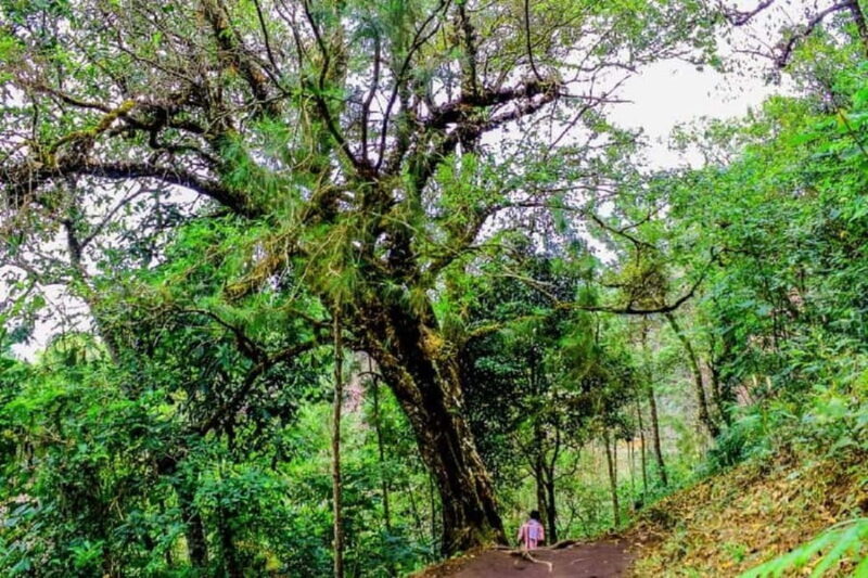 Historic, Natural Wonders: Zaina Falls & Mau Mau Cave Hike - Final Thoughts