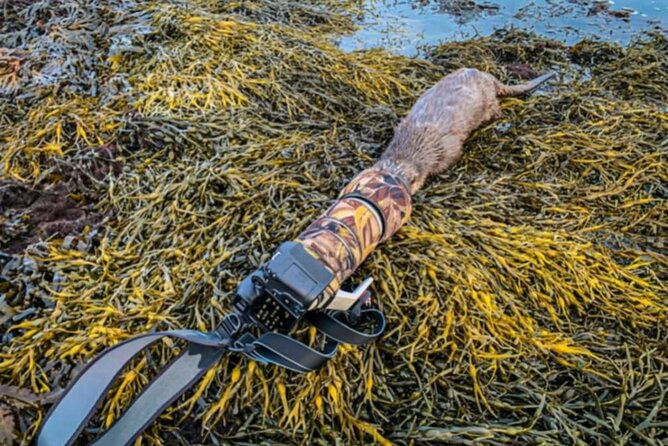 historic-orkney-showcase-private-tour-by-a-native-islander