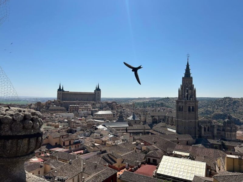historic-toledo-cathedral-and-museums-in-groups-of-maximum-10-people