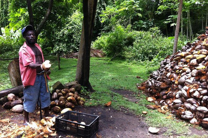 historical-18th-century-estate-tour-with-coconut-tasting