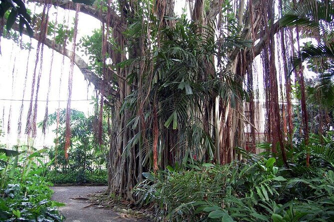 historical-and-beach-tour-of-tortola-bvi