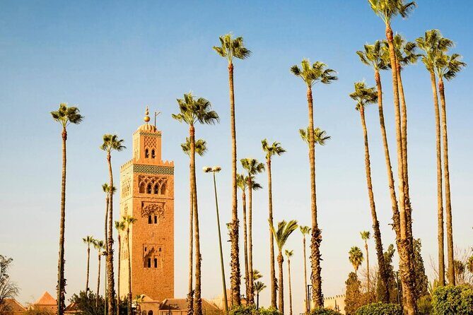 Historical And Cultural Experience in Marrakech City - Who Should Book This Tour?