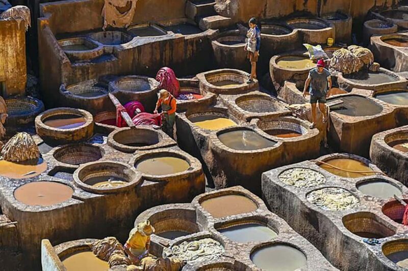 Historical and Cultural Stroll in the Fes Medina - Who Should Consider This Tour?