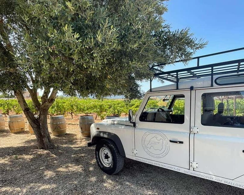 HISTORICAL BODEGA TOUR AND WINE TASTING - A Closer Look at the Experience