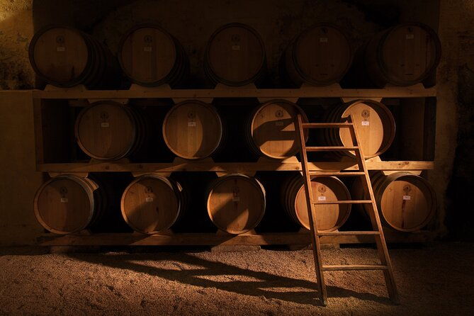historical-cellar-visit-and-wine-tasting-in-salento-2