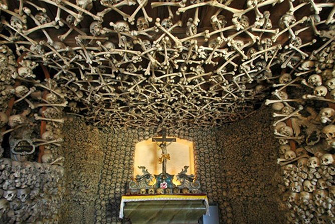 historical-evora-private-full-day-tour-cork-wine-and-olive-oil-haven