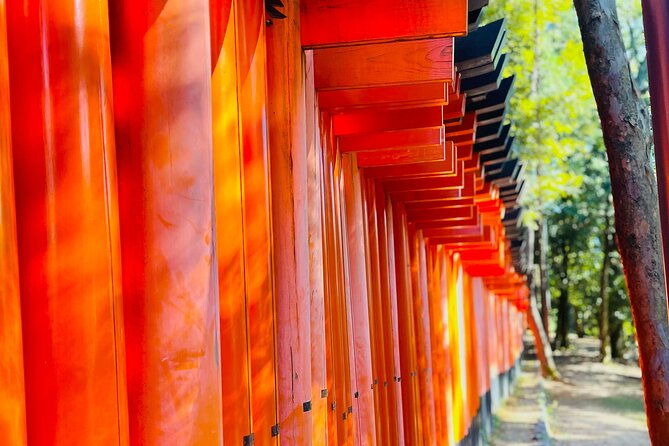 historical-kyoto-customizable-tour-with-english-speaking-guide