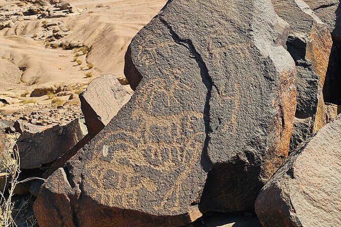 Historical Landmark in Tabuk Region Full Day Tour - FAQ