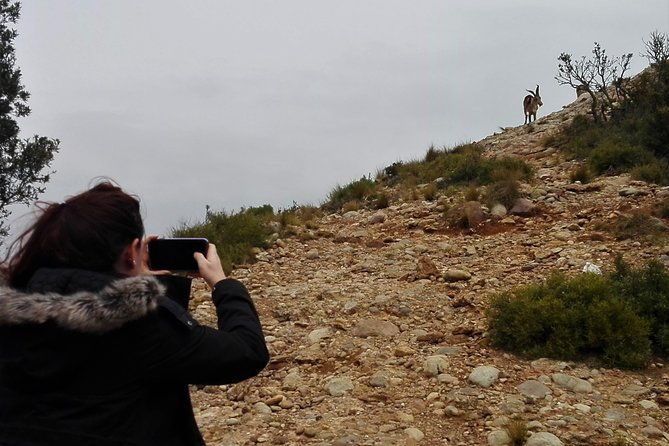 historical-montserrat-half-day-hiking-tour-from-barcelona