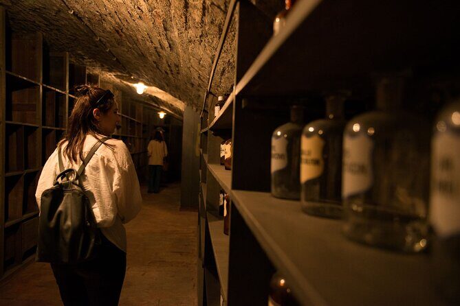 Historical Pharmacy Cellar Guided Tour - Exploring the Itinerary in Detail