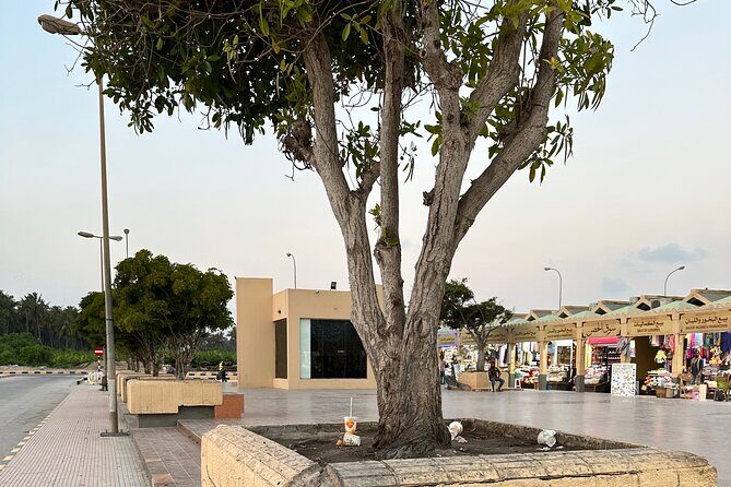 Historical Salalah City Tour - FAQ
