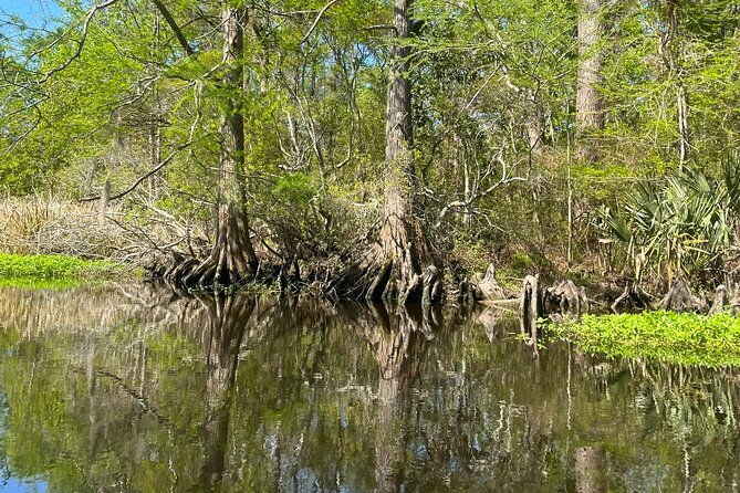 historical-scenic-bayou-swamp-water-trail-kayak-tour