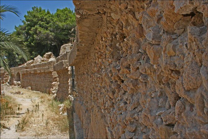 Historical Tour of Ancient Carthage - Who Should Consider This Tour?