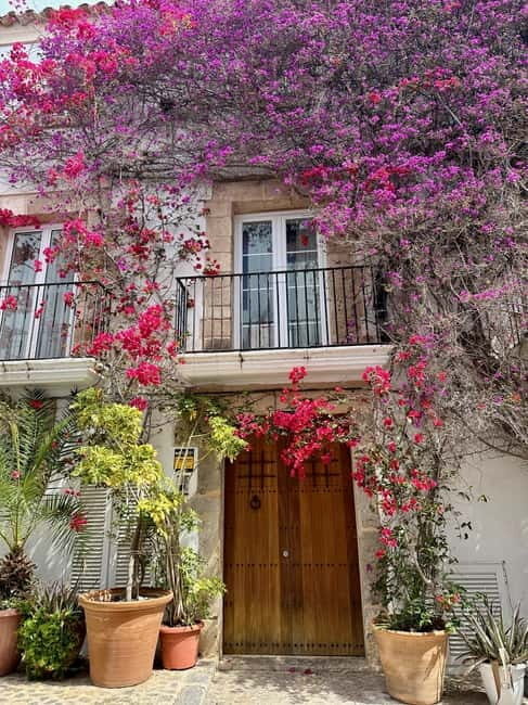 History and Relax in Ibiza: Dalt Vila, Cala Bassa and Can Soleil - Market Strolling at Las Dalias