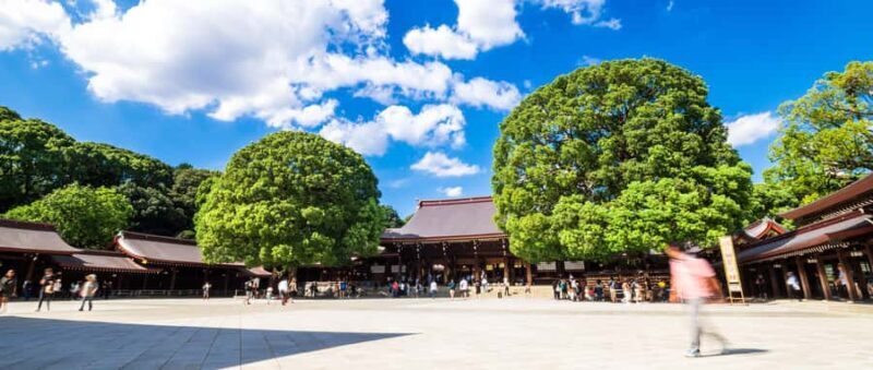 History and serenity at Meiji Shrine and Yoyogi Park  Walking Tour - Practical Details and Experience Insights