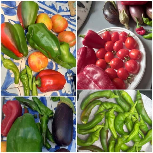 History and tasting of Neapolitan cuisine on the sea terrace - FAQ