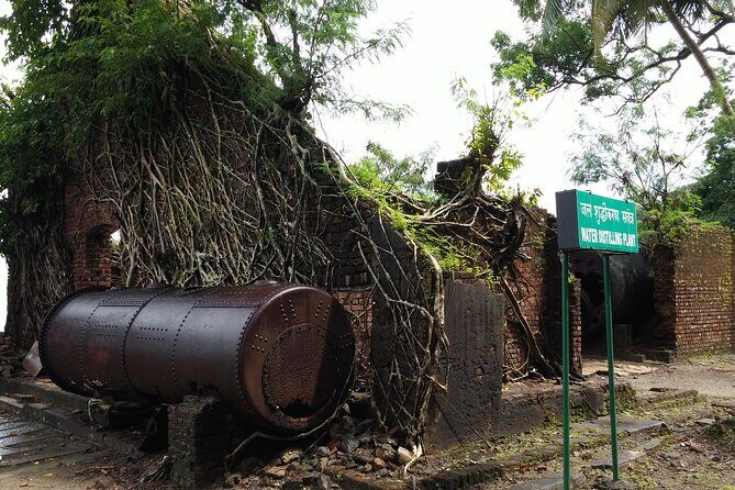 History Buffs Trails to Ross Island (3 Hours Guided Walking Tour) - Who Is This Tour Best For?