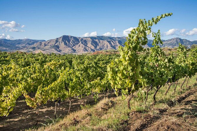 history-local-wines-amphitheater-mitrium-and-winery-visit